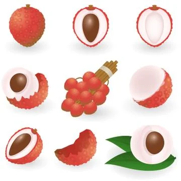 Lychee Stock Illustration