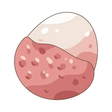 Lychee Stock Illustration