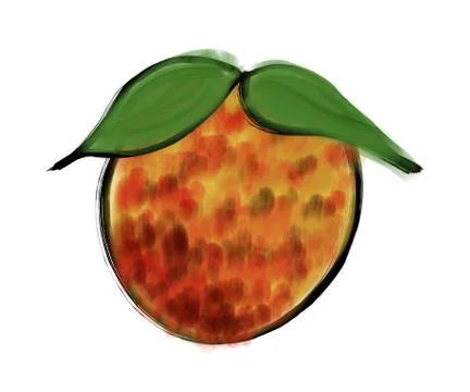 Lychee illustration Stock Illustration