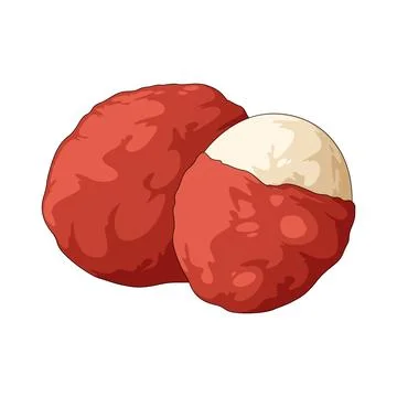 Lychee illustration Stock Illustration
