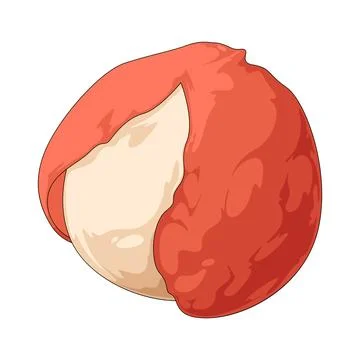 Lychee illustration Stock Illustration