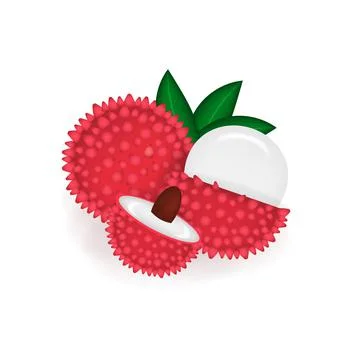 Lychee isolated on white background realistic design fruit Close-up Illustrazione stock