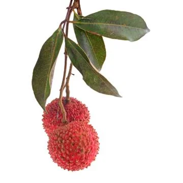 Lychee isolated on white Stock Photos