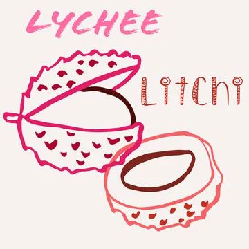 Lychee line art hand-drawn multicolor modern vector illustration. Colorful li Stock Illustration