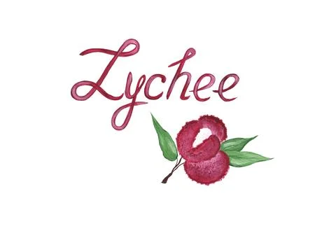 Lychee logo. Fruit isolated on white background and lettering. Icon. Fresh ly Illustrazione stock
