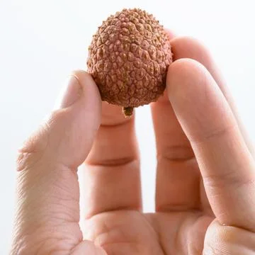 Lychee in the man's hand Stock Photos