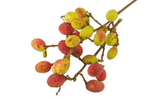 Lychee. Stock Photos