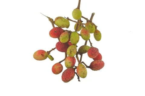 Lychee. Stock Photos