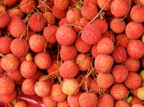 Lychee Stock Photos