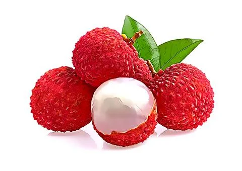 Lychee Red on white background clipping path Stock Illustration