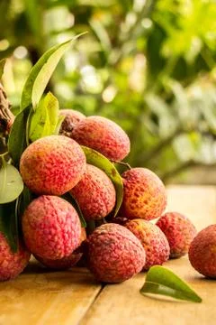 Lychee, ripe red table ready to eat. Stock Photos