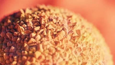 Lychee Rock Illustrazione stock