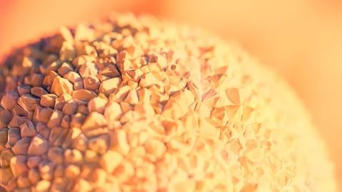 Lychee Rock Illustrazione stock