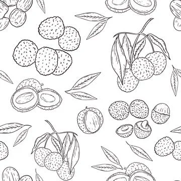 Lychee seamless pattern, sketch hand drawing vector. Repeating background. Stock Illustration