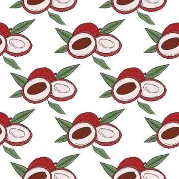 Lychee seamless pattern vector hand drawn illustration Illustrazione stock