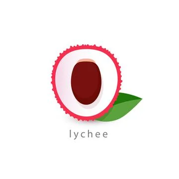 Lychee simple icon. Vegan logo template, minimalism style. Half fruit vector Stock Illustration