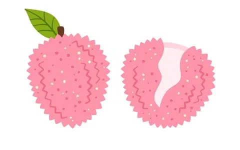 Lychee simple vector illustration whole ripe red lichi abstract childish hand Stock Illustration