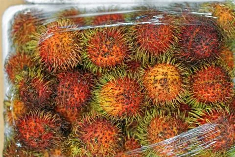 Lychee in tray Stock Photos