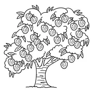 Lychee Tree Fruit Plant Isolated Coloring Page Illustrazione stock