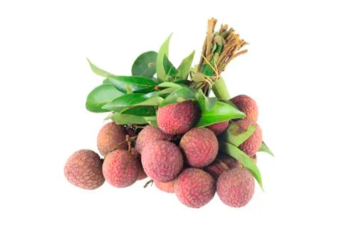 Lychee tropical fruit Stock Photos
