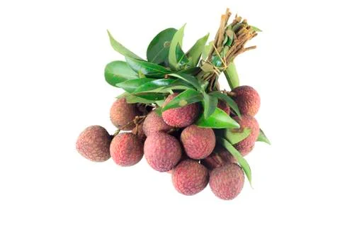 Lychee tropical fruit Stock Photos