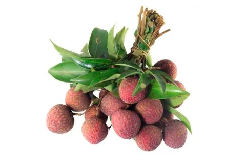 Lychee tropical fruit Stock Photos