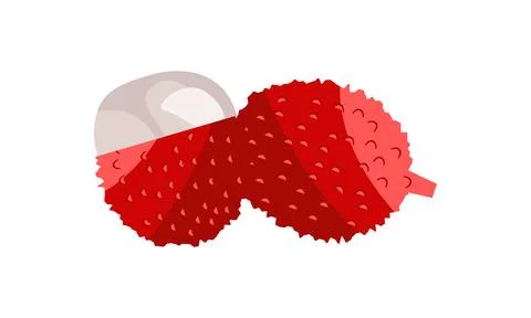 Lychee Vector Design And Illustration. Stock Illustration