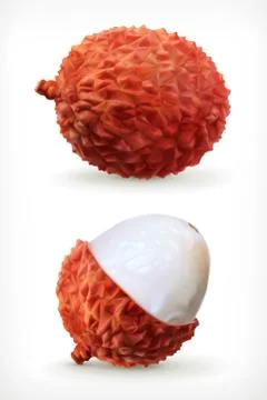Lychee, vector icon Stock Illustration