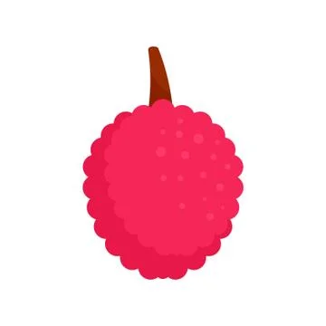 Lychees fruit icon, flat style Stock Illustration