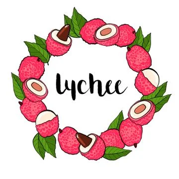 Lychees hand drawn frame isolated on white background. Lychee fresh fruits on Illustrazione stock