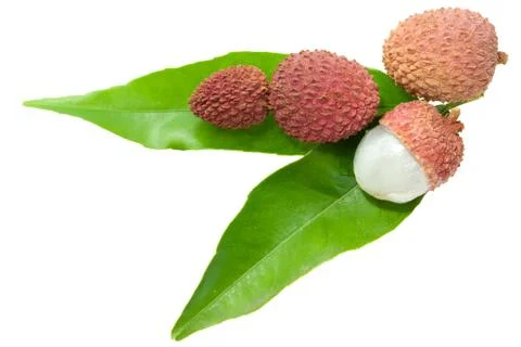 Lychees Stock Photos