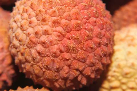 Lychees Stock Photos