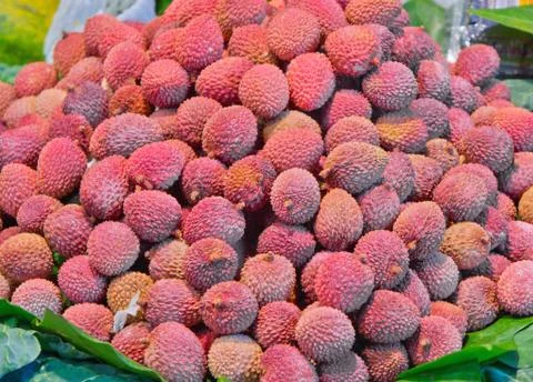 Lychees Stock Photos