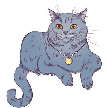 Lying British breed cat Illustrazione stock