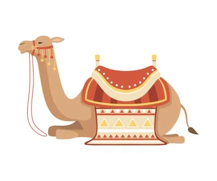 Lying Camel, Two Humped Desert Animal with Bridle and Saddle Decorated with Stock Illustration