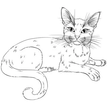 Lying cat line art Stock Illustration