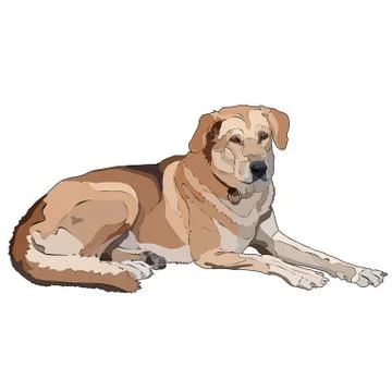 Lying dog Stock Illustration