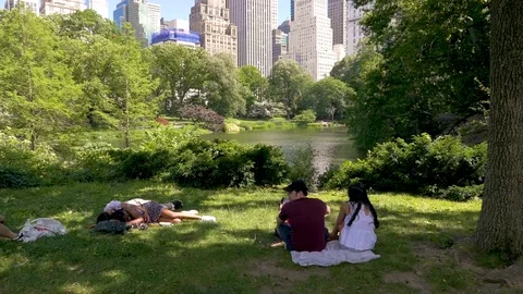Lying down, sleeping and having a picnic with a beautiful view in Central Stock Footage 95663297