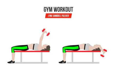 Lying dumbbell pullover. Sport exercises. Exercises in a gym. Stock Illustration
