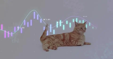 Lying ginger tabby cat on lavender studio floor, with neon bars, line graph Stock Photos