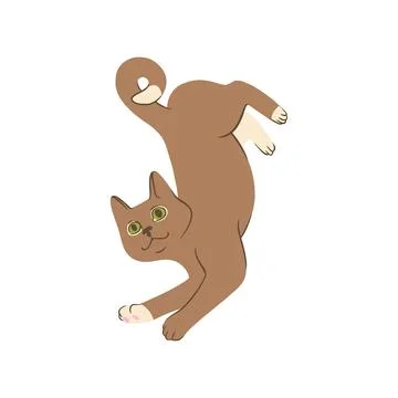 Lying grey cat in doodle style. Colored playful cat. Vector illustration Stock Illustration