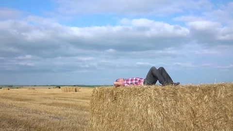 Lying on the hay Stock Footage 71308223