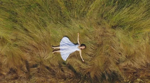 Lying in the long grass Stock Footage 51362085
