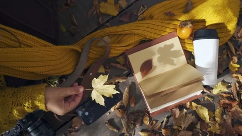 Lying notebook with autumn leaves between pages Stock Footage 166106238