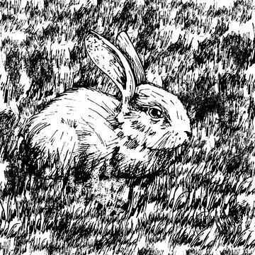 Lying rabbit. Vector vintage hatching illustration. Isolated on white Stock Illustration
