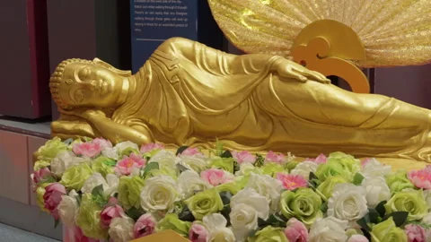 Lying Small Buddha Statue, Golden Body Reclining On Side Behind Lotus Flowers Stock Footage 249967709
