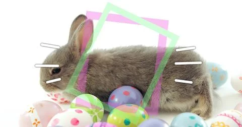 Lying soft gray-brown rabbit stretching on white backdrop with pastel eggs, 스톡 사진