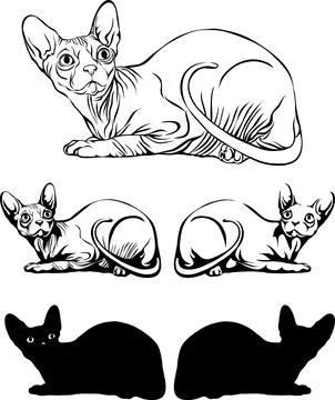 Lying sphinx cat Stock Illustration