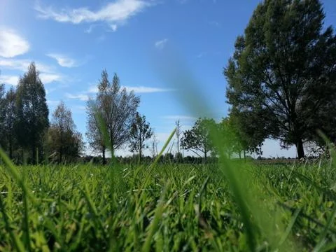 Lying view of the landscape Stock Photos