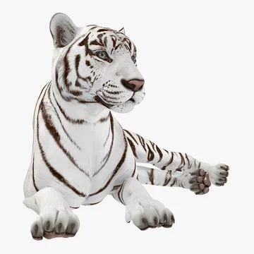 Tiger - Free 3D models
